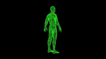 3D human body on black background. Object dissolved green flickering particles. Science concept. Abstract bg for title, presentation. Holographic screensaver. 3D animation