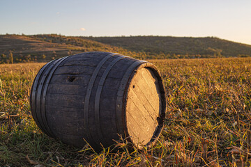barrels of wine