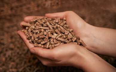 hands full of wood pellets. Concept of renewable energy for sustainable future.
