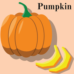 illustration of Pumpkin, slice of pumpkin for teacher, student , college, banner, flyer, power point, and another comercial use
