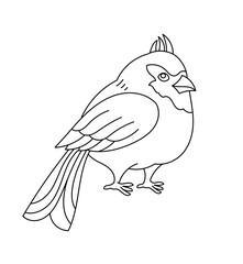 Northern cardinal bird. Editable outline stroke. Vector line illustration.