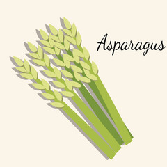illustration of Asparagus for teacher, student , college, banner, flyer, power point, and another comercial use
