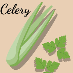 illustration of celery, celery stick, celery leaf, for teacher, student , college, banner, flyer, power point, and another comercial use