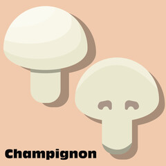 illustration of Champignon, slice of Champignon, white mushroom for teacher, student , college, banner, flyer, power point, and another comercial use