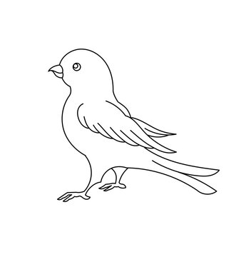 Canary bird. Editable outline stroke. Vector line illustration.