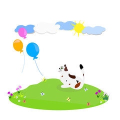 Suprised white, piebald female cat is watching the colorful balloons