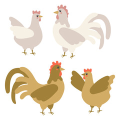 Collection of rooster and hen isolated on a white background. Brown and white set. A lovely lovely family of domestic birds. Children's flat