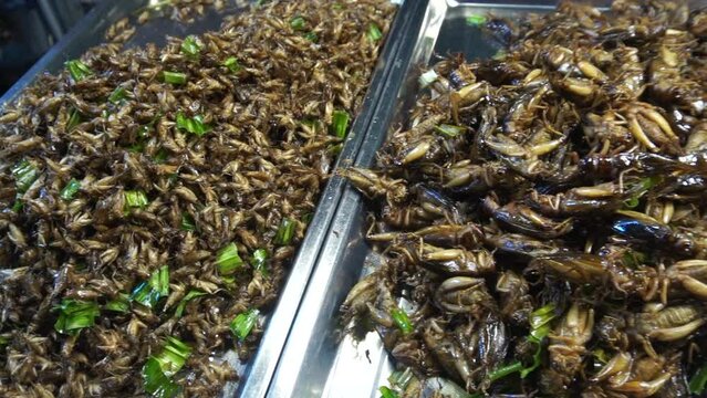 boiled cute worm for asia protine snack