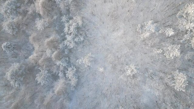 top view aerial video of snow covered mountain forest in winter 