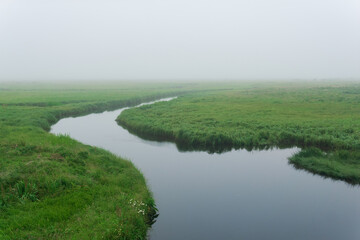 morning landscape, a vast meadow with calm river among lush grass is hidden by fog