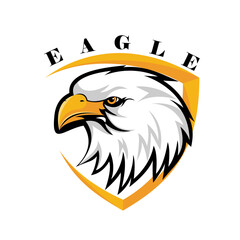 Ealge head vector illustration