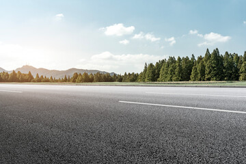 Outdoor forest highway skyline