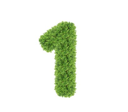 Grass number One isolated on white background. Symbol 1 with the green lawn texture. Eco symbol collection. with clipping path and alpha channel for both printing and web pages.