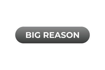 Big Reason Button. web template, Speech Bubble, Banner Label Big Reason.  sign icon Vector illustration