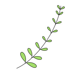 Green spring Easter Leaves color illustration.