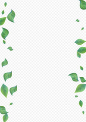 Green Greenery Herbal Vector Transparent