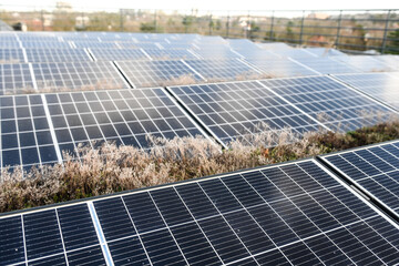 panneaux photovoltaique solaire energie verte vert toit vegetalisé vegetal