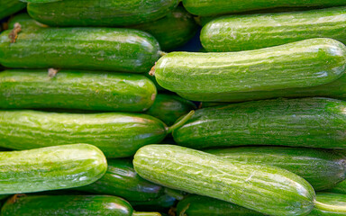 Organic green cucumbers top view close up, fresh vegan food background.