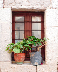 A brown window with flower pots on a whitewashed house wall. Travel to Milos island, Greece.