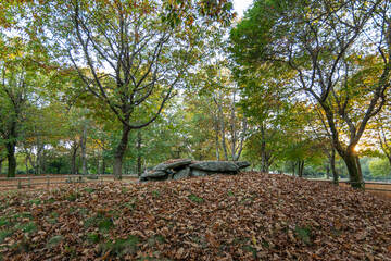 Dolmen de Chan de Arquiña, en Moaña (Galicia, España) © roberto regatos