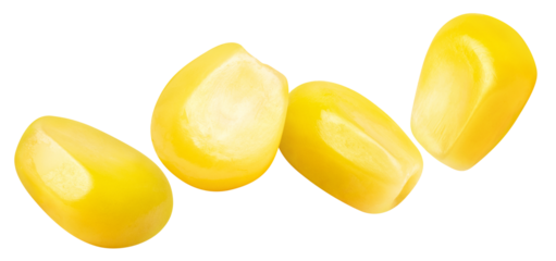 Flying corn seeds cut out