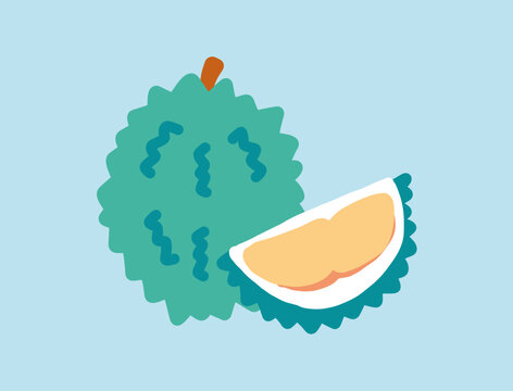 Illustration of Malaysian fruit durian