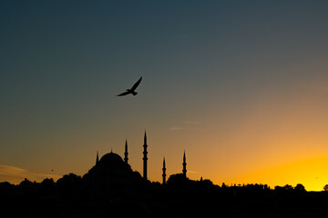 Silhouette of Suleymaniye Mosque and seagull at sunset. Islamic photo - obrazy, fototapety, plakaty