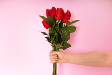 Flowers as a gift. Beautiful roses in close-up in women's hands, on a pink background. Springtime and inspiration