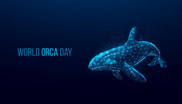 World orca day. Wireframe glowing low poly Orca whale. Design on dark blue background. Abstract futuristic vector illustration