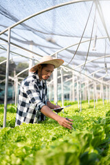 Obraz premium Asian man farmer looking organic vegetables and holding tablet, laptop for checking orders or quality farm