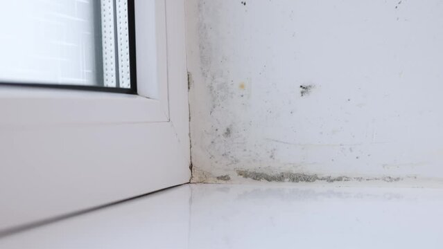 Molded bathroom and person in professional protection suit spraying chemicals to kill the mold and fungus. Mold professional uses sort of antimicrobial chemical to clean the mold