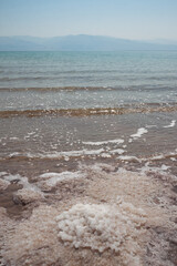 dead sea shore