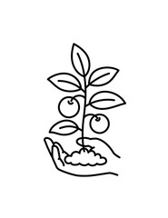 Hand holding young vegetable with fruits. Growth of plant. Care for nature. Vector line icon. Editable outline stroke.