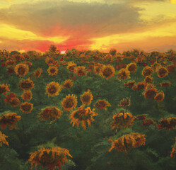 Fototapeta na wymiar Sunflower field digital art at sunset