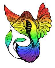 Colorful Rainbow humming bird in doodle style. Black ink picture on white background.