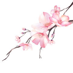 Naklejka na ściany i meble Cherry Blossom bouquet watercolor