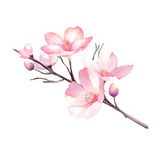 Plakat Cherry Blossom bouquet watercolor