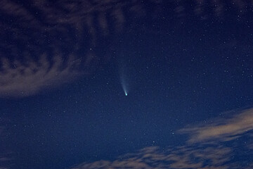 Komet Neowise Sommer 2020 am Sternenhimmel mit Schweif