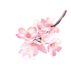Foto op Canvas Cherry Blossom bouquet watercolor © Sarina Darin