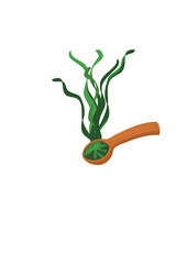 Beautiful illustration of spirulina. Representation of spirulina algae and a wooden spoon with organic spirulina powder. Hand-drawn illustration, isolated on a white background.
