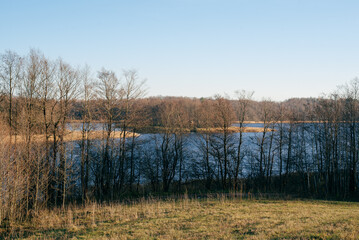 reeds on the lake, landscape with lake and trees, lake in the forest