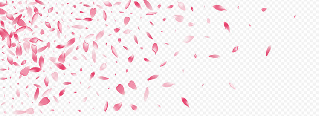 Purple Bloom Vector Panoramic Transparent