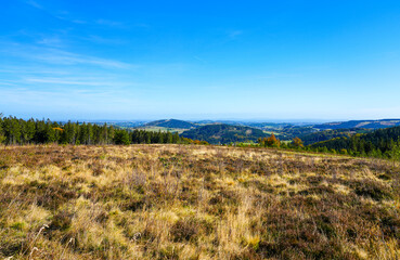 Fototapeta na wymiar View of the landscape around the Ettelsberg. Nature near Willingen am Rothaargebirge. Sauerland. 