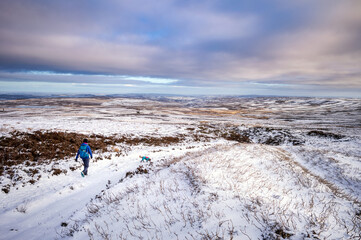 A hiker and their dog descending the summit of Bolt's Law near B