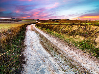 Camino entre sembrados y barbechos