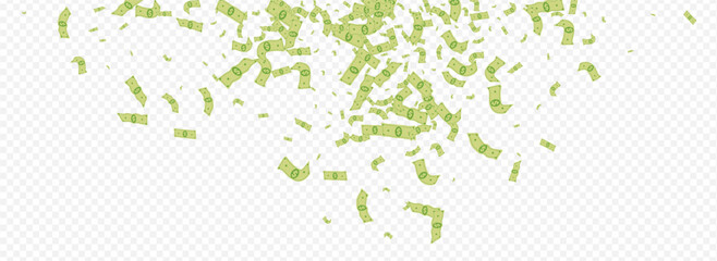 Paper Dollar Vector Transparent Panoramic