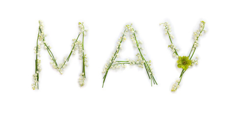 May lettering text from of flowers Lily of the valley ( Convallaria majalis, May bells, may-lily ),...