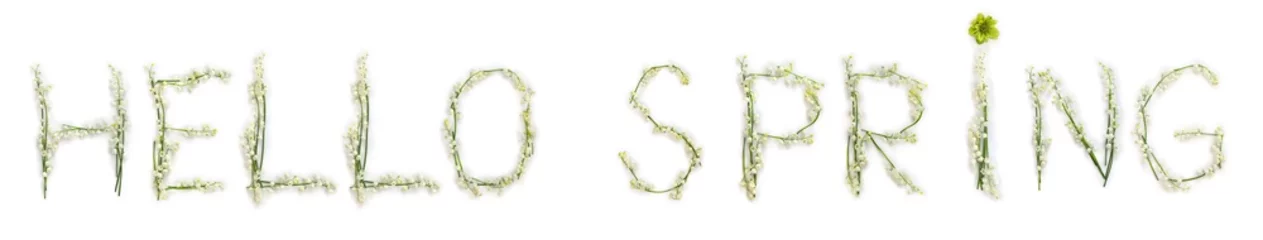Zelfklevend Fotobehang Hello spring lettering text from of flowers Lily of the valley ( Convallaria majalis, May bells, may-lily ), hellebores on white background. Top view, flat lay © Anastasiia Malinich