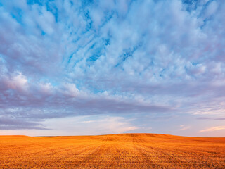 Fototapeta premium Sky with beautiful clouds over stubble field at sunset in summer