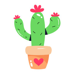 Cactus 